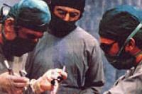 نمایی از فیلم