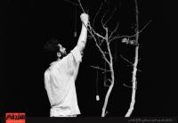 حکایت مروارید