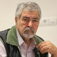 محمود عزیزی