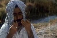 نمایی از فیلم