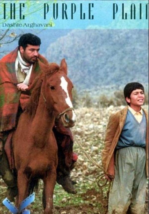 دشت ارغوانی