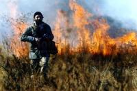 علی دهکردی در نمایی ازفیلم سجده بر آب