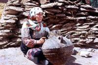 نمایی از فیلم دو چشم بی سو