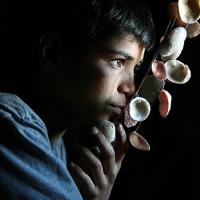 علیرضا بالدی